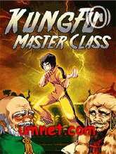 game pic for Kung Fu Master Class  C905